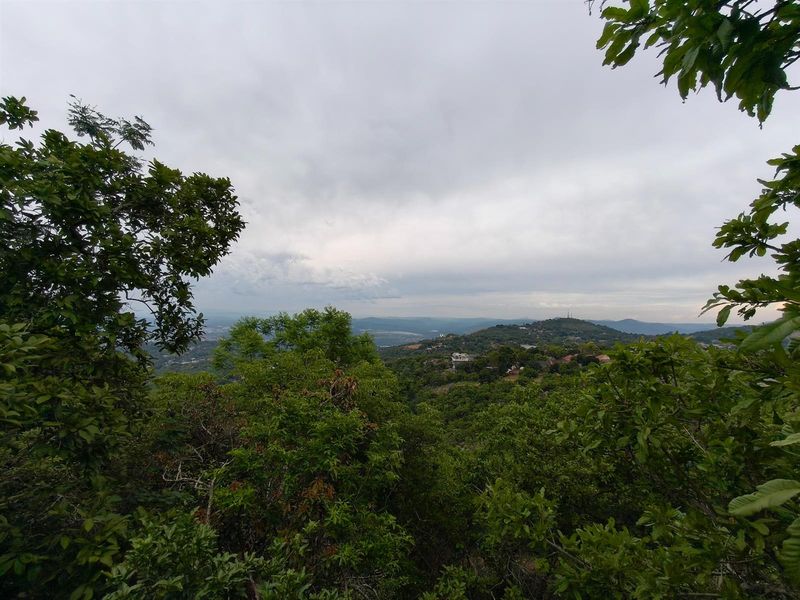 Vacant Land 11.5 ha Skyline Opportunity - Prime Land Beside Nelspruit Ext 11 - Photo 8