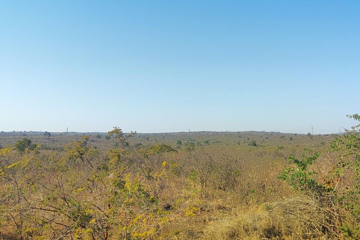 Farm For Sale in Thohoyandou Rural, Tshitomboni - Photo 2