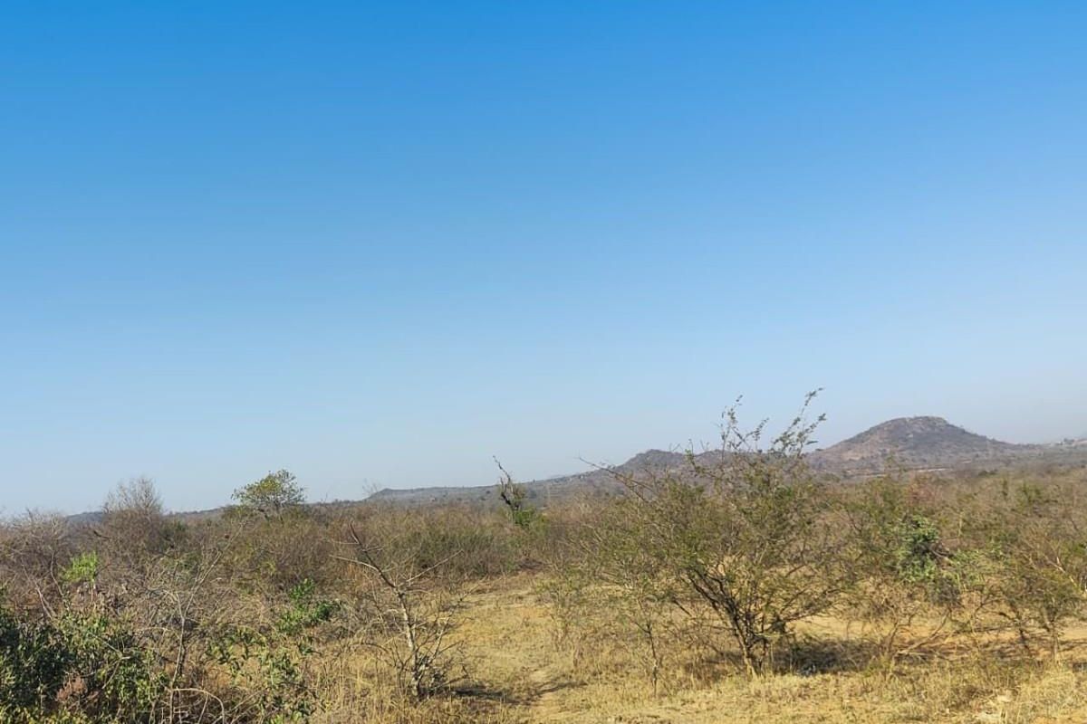 Farm For Sale in Thohoyandou Rural, Tshitomboni - Photo 5