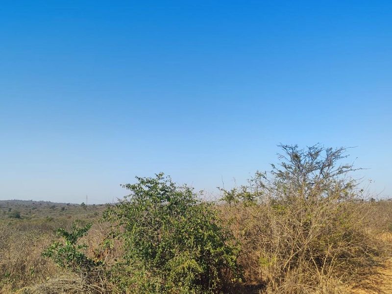 Farm For Sale in Thohoyandou Rural, Tshitomboni - Photo 9