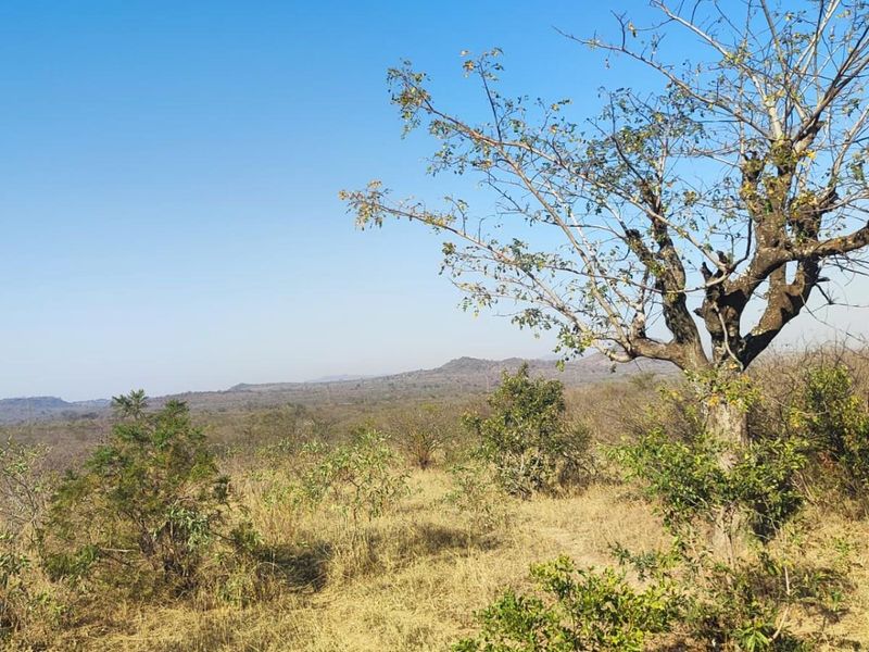 Farm For Sale in Thohoyandou Rural, Tshitomboni - Photo 3