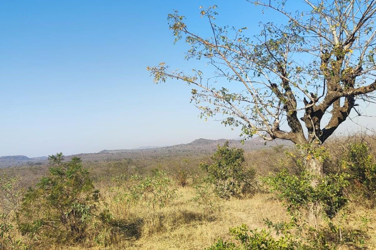 Farm For Sale in Thohoyandou Rural, Tshitomboni - Photo 3