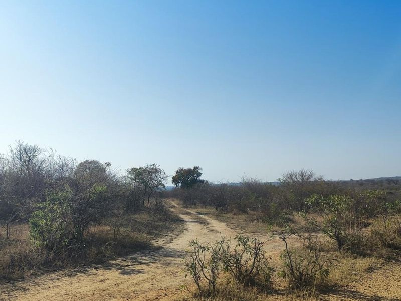 Farm For Sale in Thohoyandou Rural, Tshitomboni - Photo 6