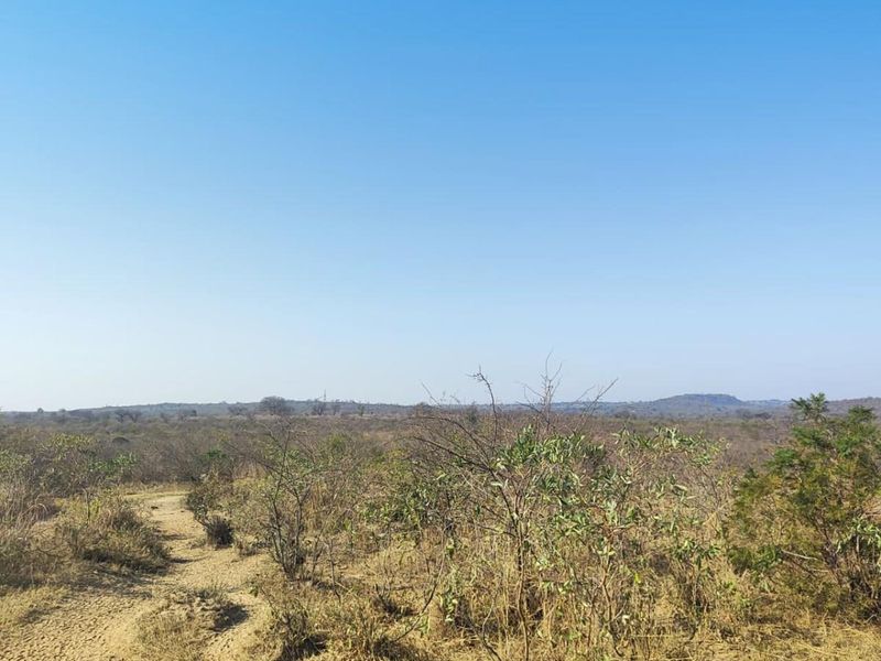 Farm For Sale in Thohoyandou Rural, Tshitomboni - Photo 7