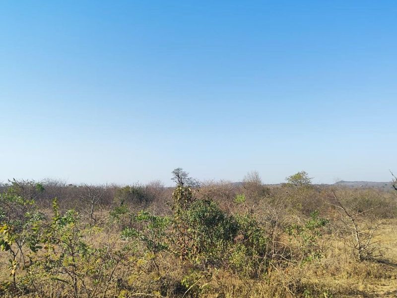 Farm For Sale in Thohoyandou Rural, Tshitomboni - Photo 4