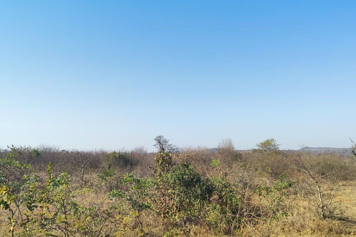 Farm For Sale in Thohoyandou Rural, Tshitomboni - Photo 4