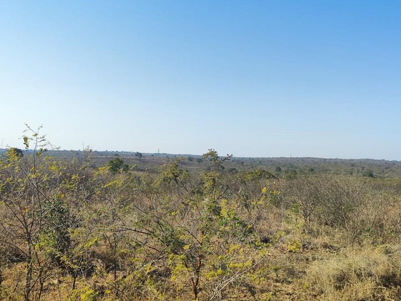 Farm For Sale in Thohoyandou Rural, Tshitomboni - Photo 8