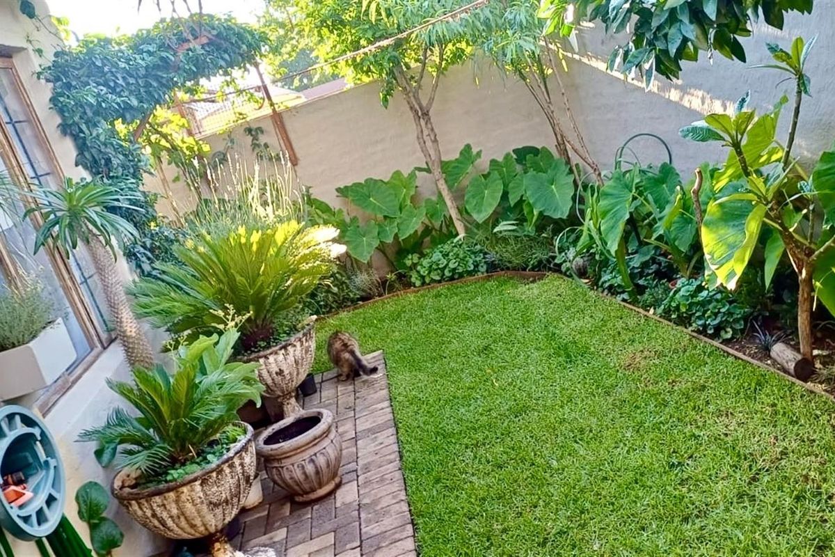 A well-maintained private rear garden featuring a lush lawn, established perimeter planting, and a paved walkway adjacent to the building exterior.