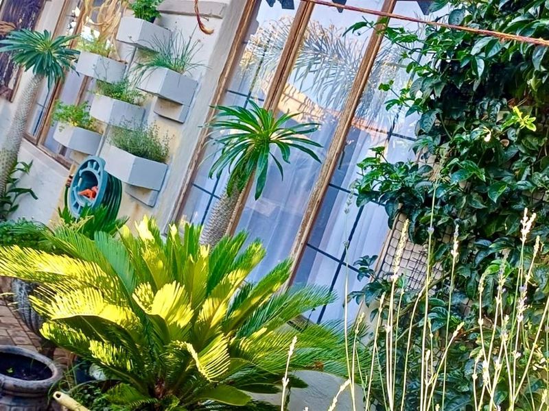 A paved patio area featuring vertical wall-mounted planters, established greenery, and large windows with wooden frames.