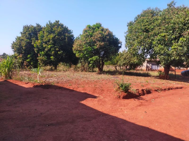 A spacious outdoor garden area featuring mature trees and natural red soil ground cover, offering potential for landscaping and development.