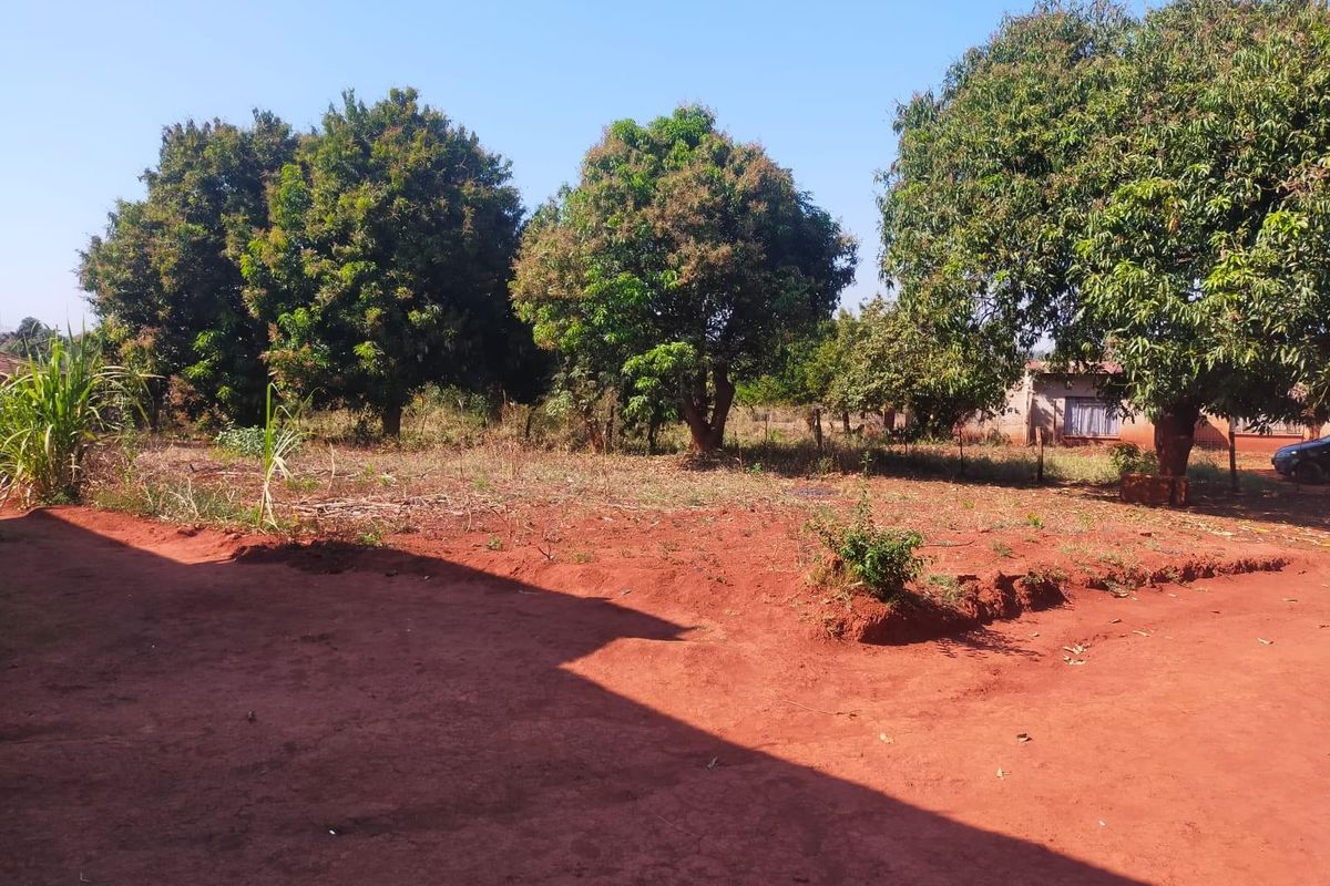 A spacious outdoor garden area featuring mature trees and natural red soil ground cover, offering potential for landscaping and development.