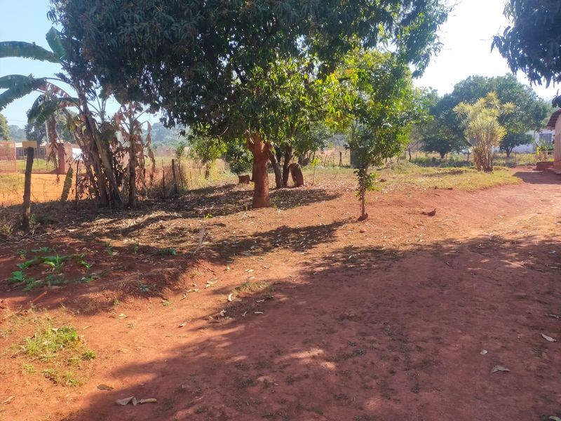 A large, undeveloped garden area featuring mature trees and basic wire fencing on a natural earth surface.
