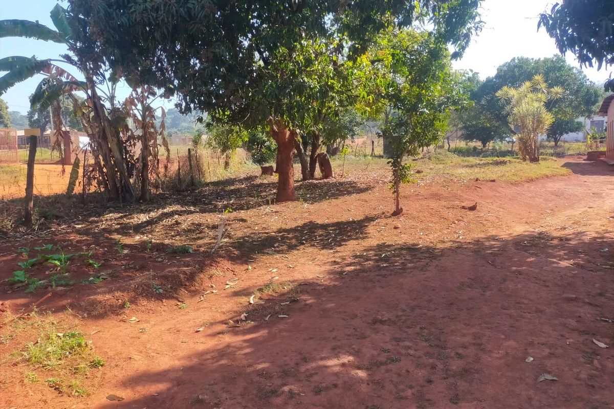 A large, undeveloped garden area featuring mature trees and basic wire fencing on a natural earth surface.