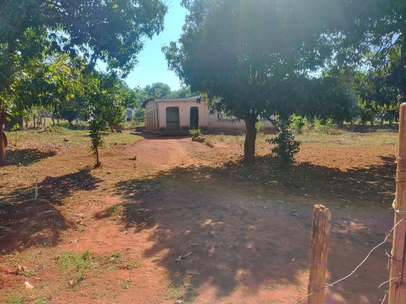 A view of a single-story residential property set on a large plot with mature trees and an unpaved driveway.