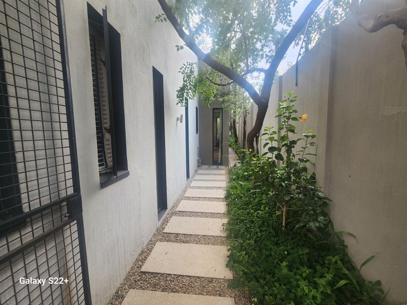 A narrow side passage featuring a paved walkway, boundary wall, and established garden greenery along the side of the house.