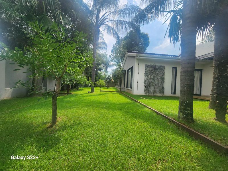 A well-maintained, lush green garden featuring mature palm trees and established landscaping adjacent to the property's exterior wall.