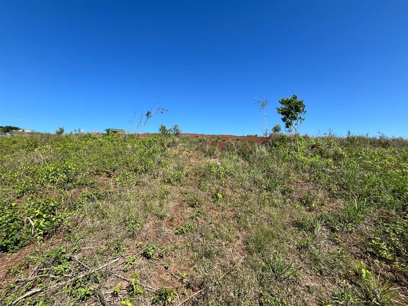 Vacant Land Springvale Country Estate - Photo 10