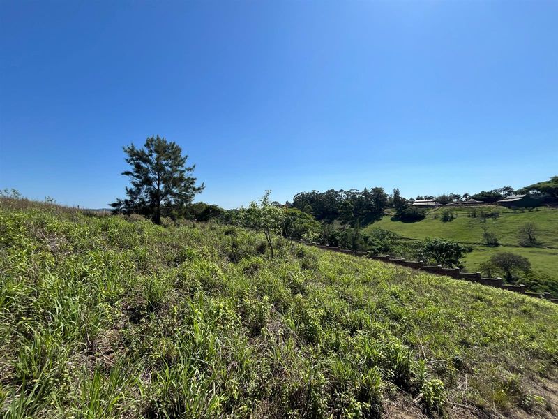 Vacant Land Springvale Country Estate - Photo 2