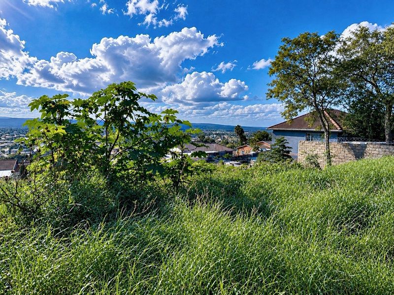 Elevated view overlooking the surrounding residential neighborhood, featuring natural vegetation and existing perimeter boundary structures.
