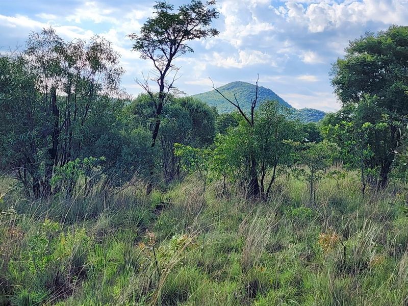 Vacant Stand in Zwartkloof Private Game Reserve - Spectacular Views - Photo 5