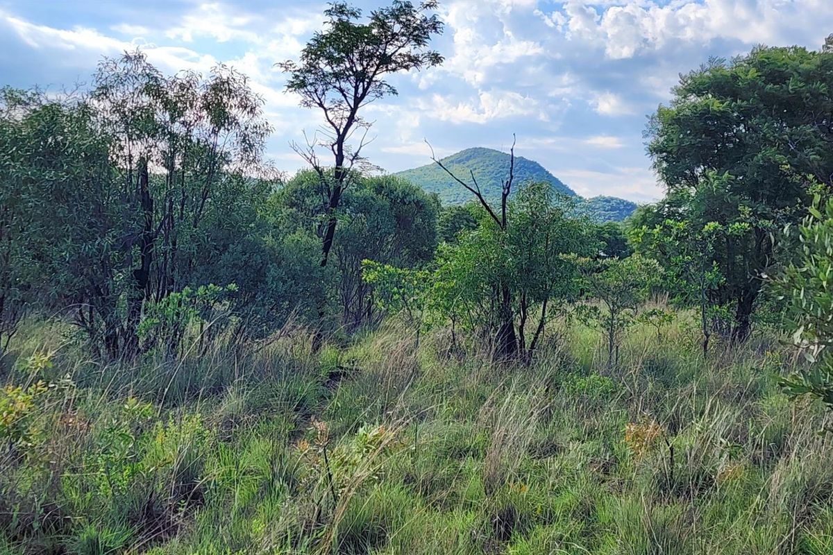 Vacant Stand in Zwartkloof Private Game Reserve - Spectacular Views - Photo 5
