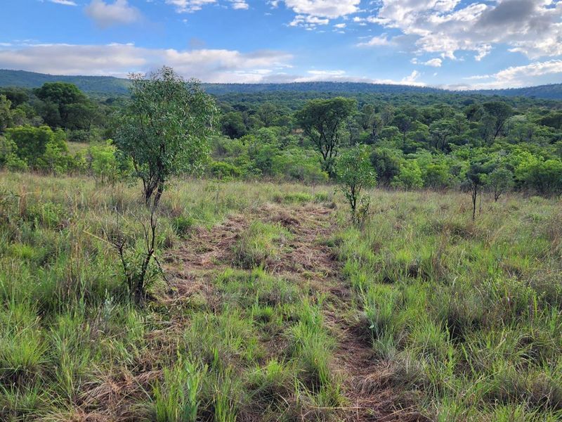 Vacant Stand in Zwartkloof Private Game Reserve - Spectacular Views - Photo 6