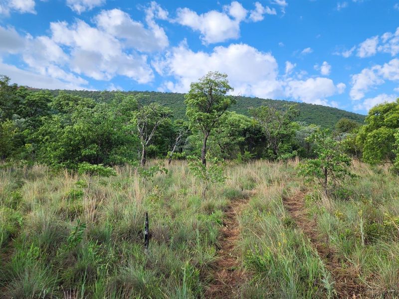 Vacant Stand in Zwartkloof Private Game Reserve - Spectacular Views - Photo 3