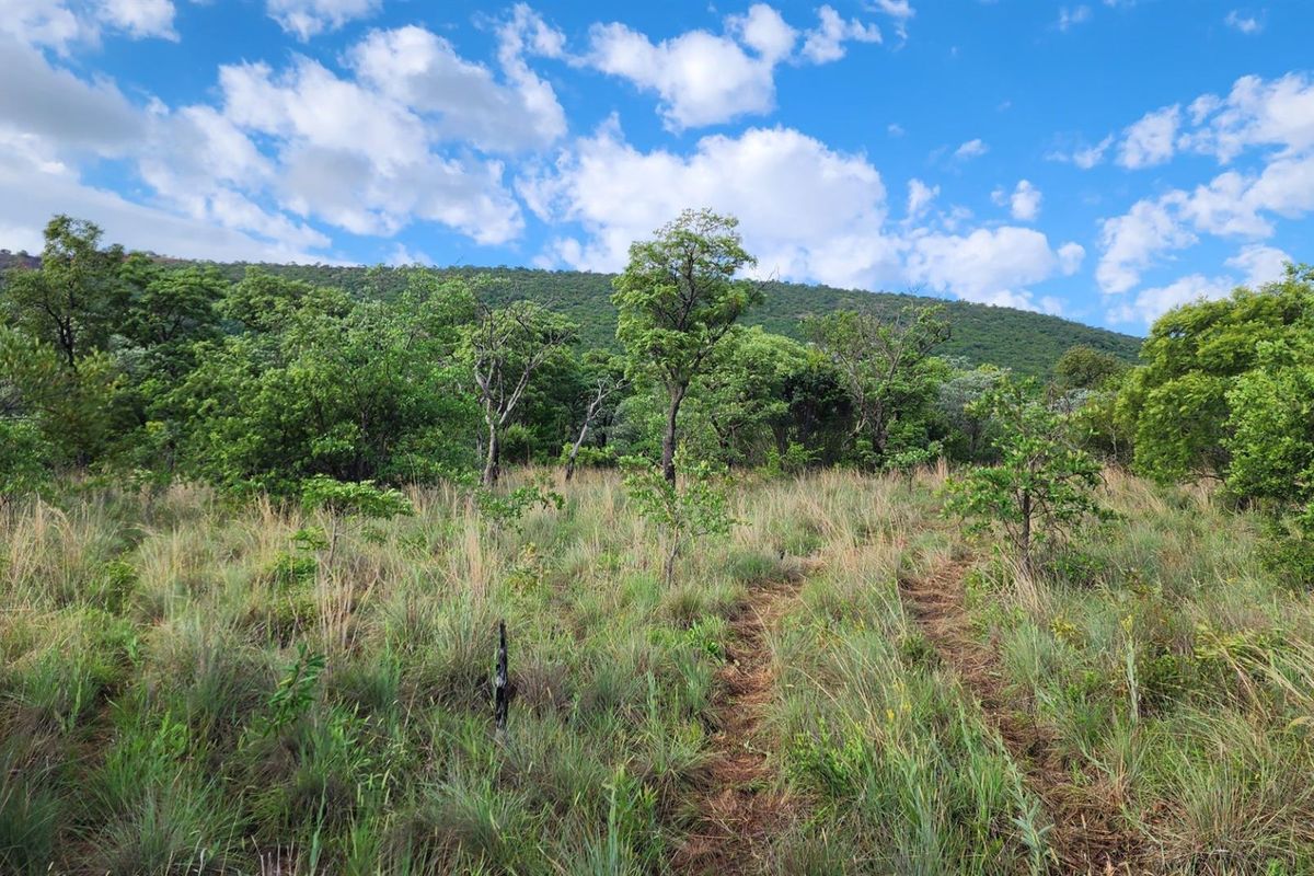 Vacant Stand in Zwartkloof Private Game Reserve - Spectacular Views - Photo 3