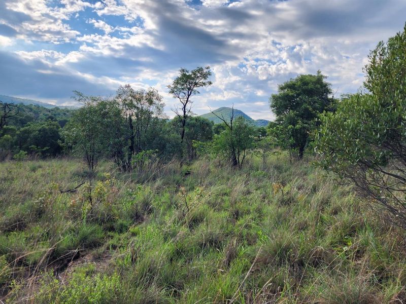 Vacant Stand in Zwartkloof Private Game Reserve - Spectacular Views - Photo 4