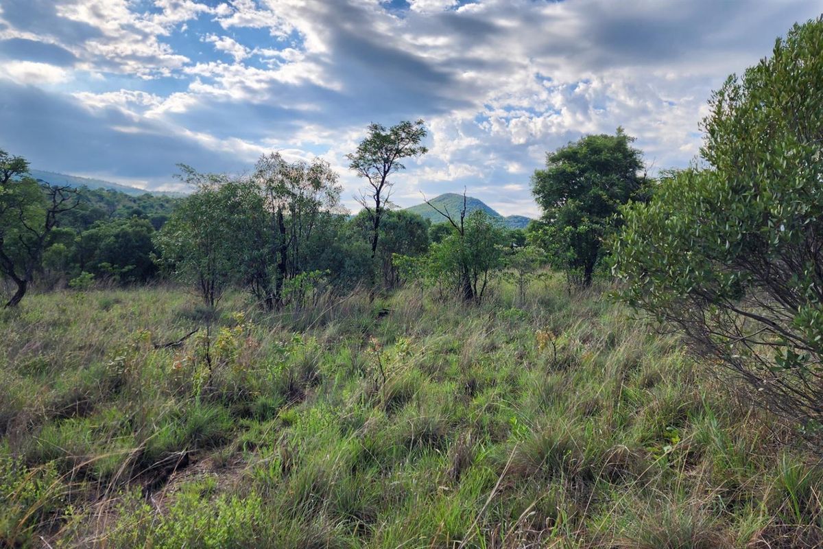 Vacant Stand in Zwartkloof Private Game Reserve - Spectacular Views - Photo 4