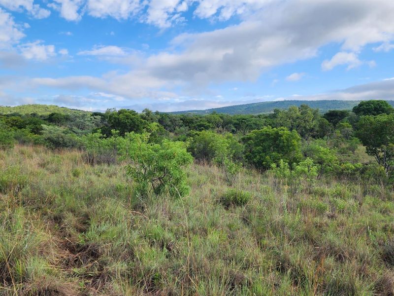 Vacant Stand in Zwartkloof Private Game Reserve - Spectacular Views - Photo 2