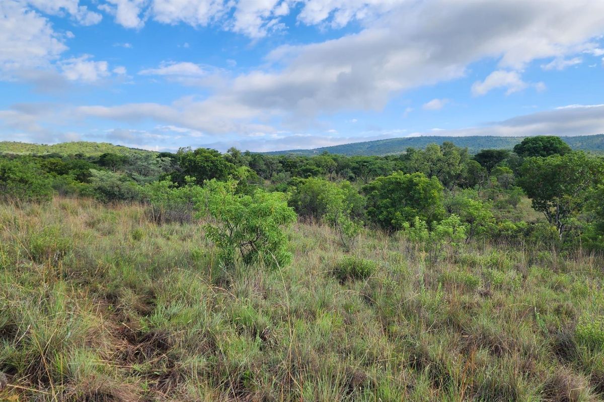Vacant Stand in Zwartkloof Private Game Reserve - Spectacular Views - Photo 2