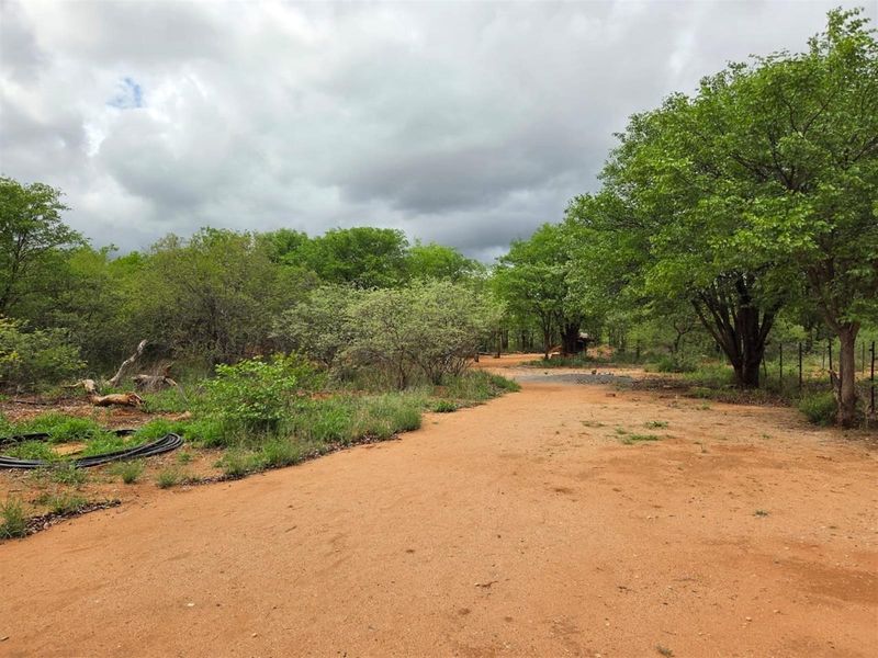 Bushveld Farm with Aquaculture and Crop Potential - Photo 10