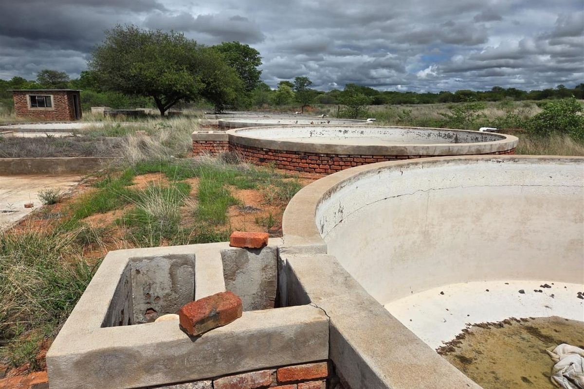 Bushveld Farm with Aquaculture and Crop Potential - Photo 3