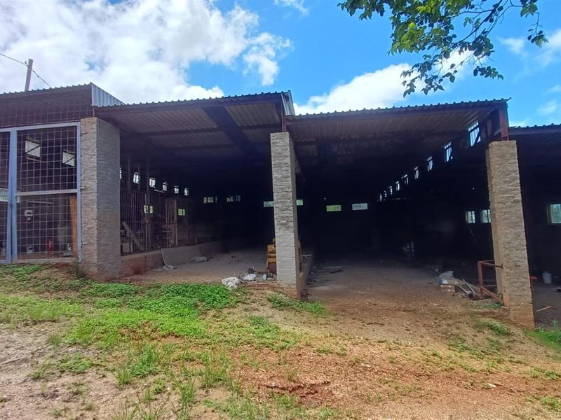Bushveld Farm with Modern Home, Workshop and Water Security - Photo 6