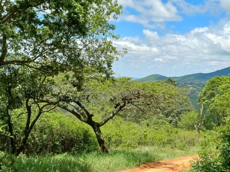 Bushveld Farm with Modern Home, Workshop and Water Security - Photo 2