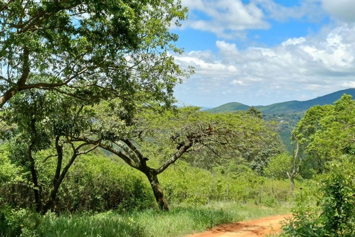 Bushveld Farm with Modern Home, Workshop and Water Security - Photo 2