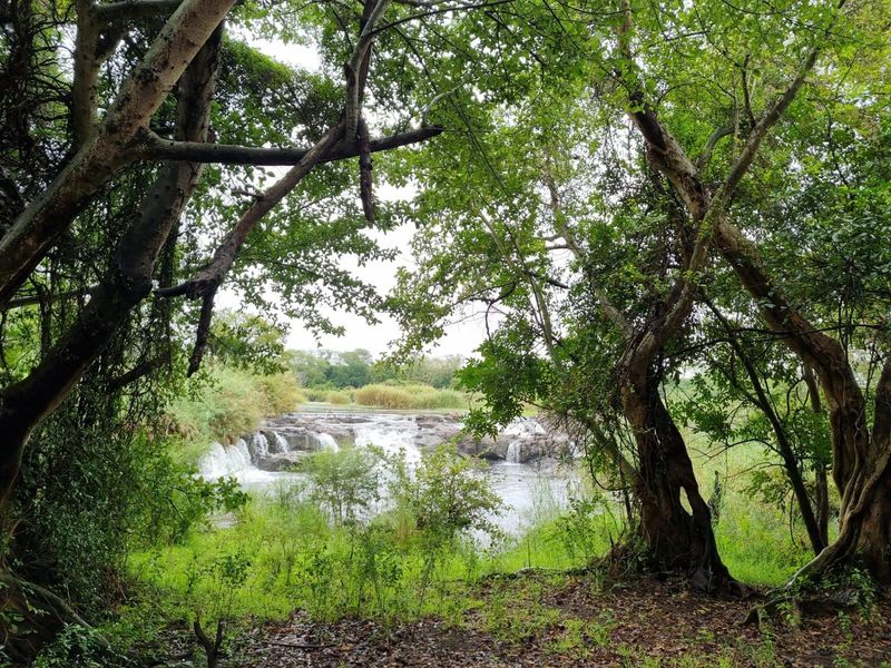 Lucrative investment property in Komatipoort - Photo 9