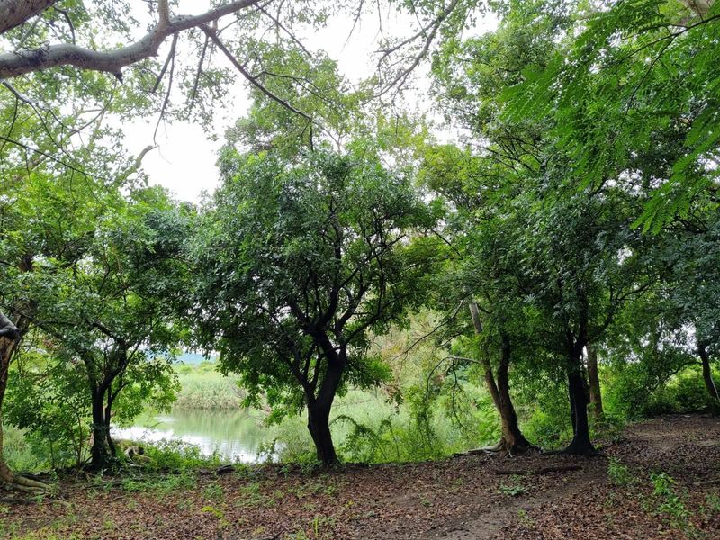 Lucrative investment property in Komatipoort - Photo 6