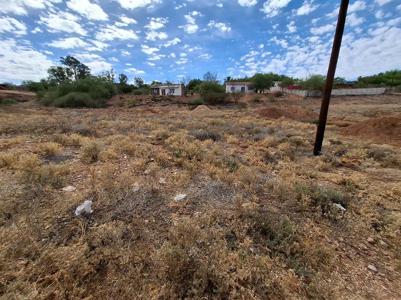 VACANT LAND IN THE BEUATIFULL CALITZDORP - Photo 4