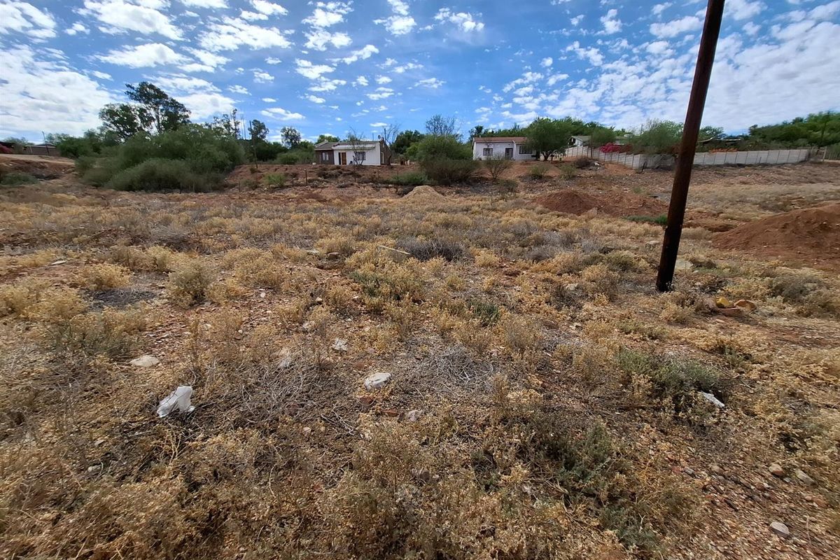 VACANT LAND IN THE BEUATIFULL CALITZDORP - Photo 4