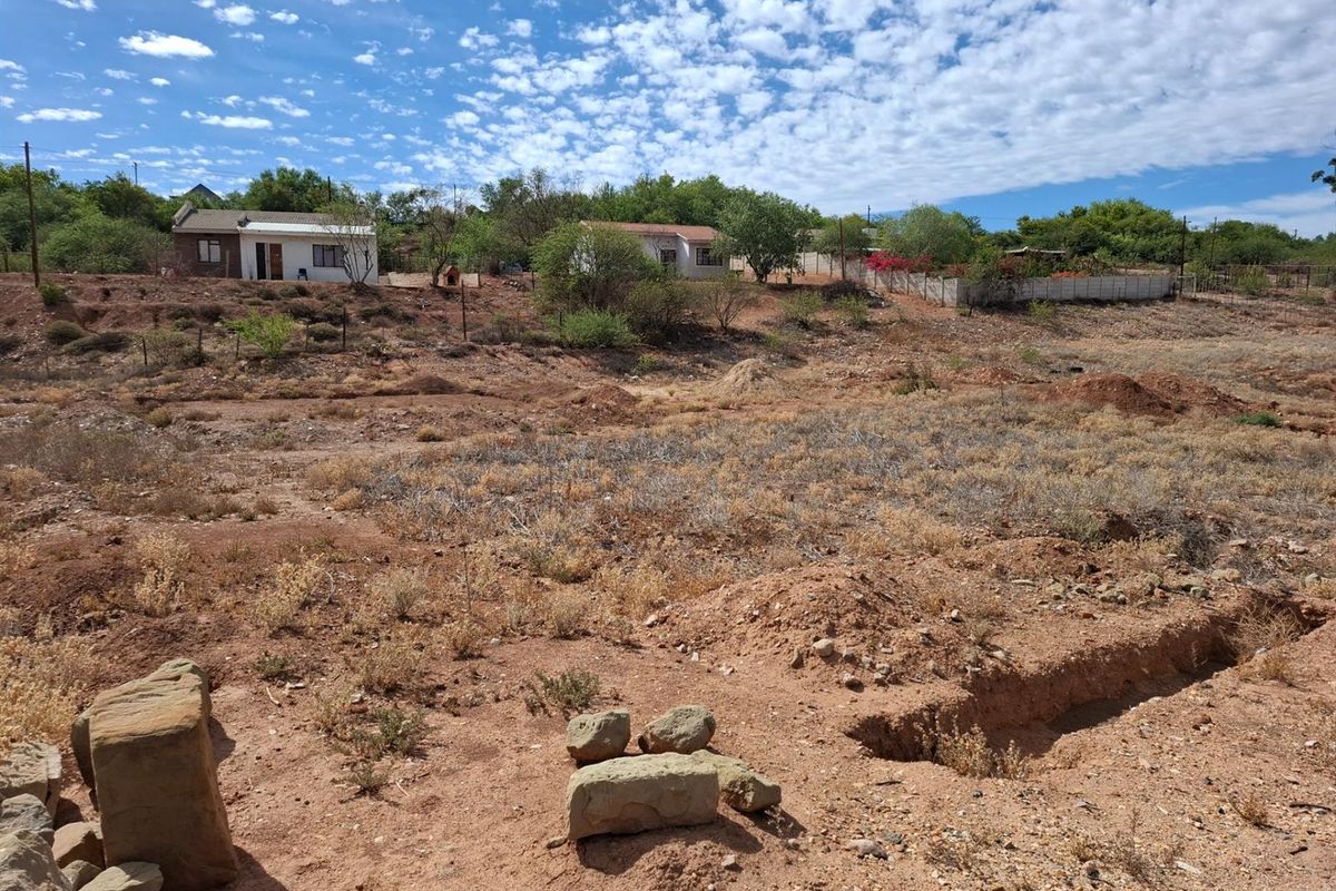 VACANT LAND IN THE BEUATIFULL CALITZDORP - Photo 3