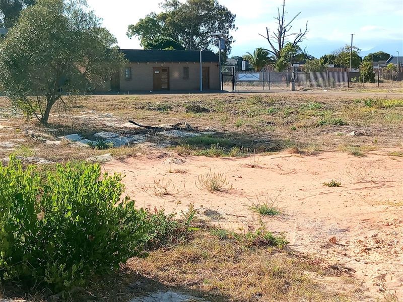 Large stand in Aloe Park with  no restrictions in building style - Photo 9