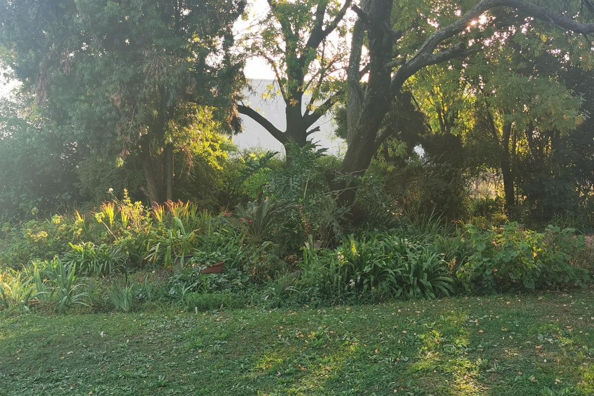 R7 450 000 beautiful farm with 1 main house, 2 smaller houses and 2 cottages for sale - Photo 4