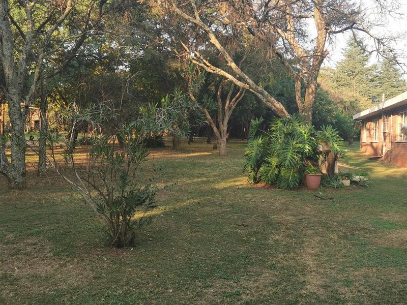 A spacious, tree-lined garden area featuring established trees and lawn, adjacent to the brick exterior of the property.