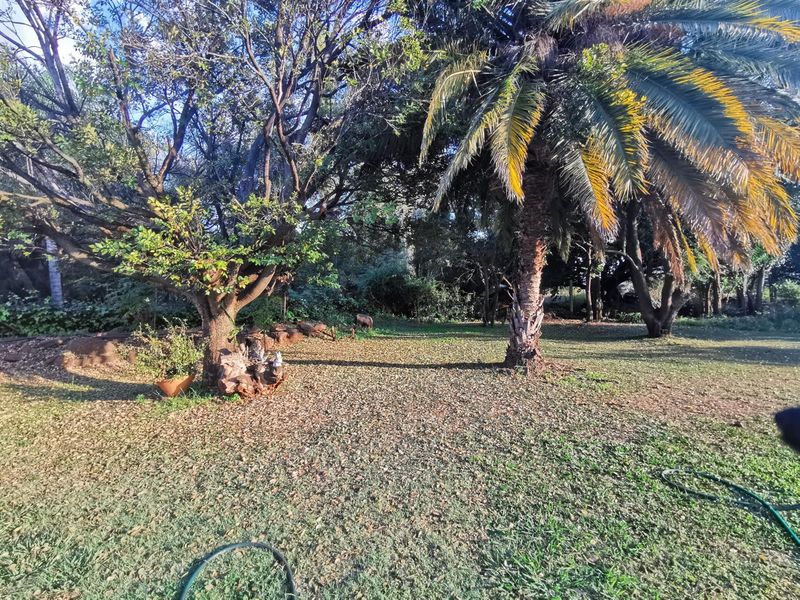 A spacious, mature garden area featuring established trees, including a large palm, providing natural shade and a tranquil outdoor setting.