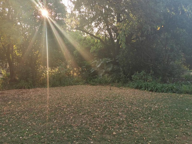A view of the established garden area featuring mature trees and natural landscaping on the small holding property.