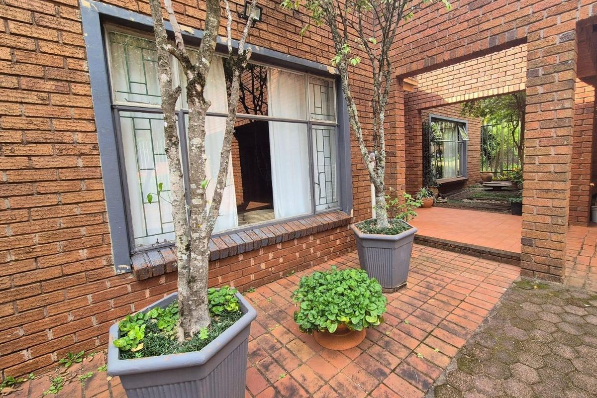 Family Home with Pool, Entertainment Area and Borehole - Louis Trichardt - Photo 5