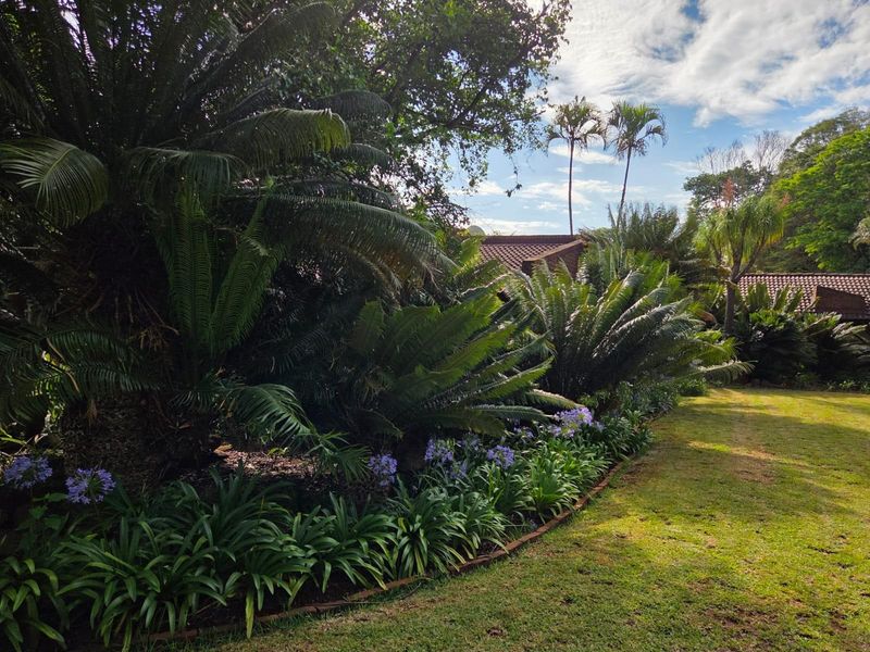 Family Home with Pool, Entertainment Area and Borehole - Louis Trichardt - Photo 2