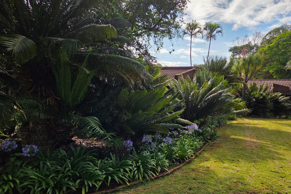 Family Home with Pool, Entertainment Area and Borehole - Louis Trichardt - Photo 2